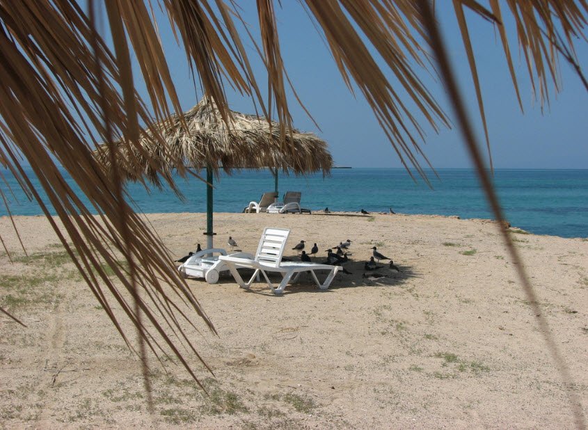 Maskali Island, Gulf of Tadjourah, Djibouti